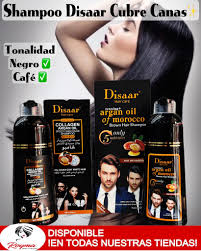 SHAMPOO COLORANTE TINTE CUBRE CANAS