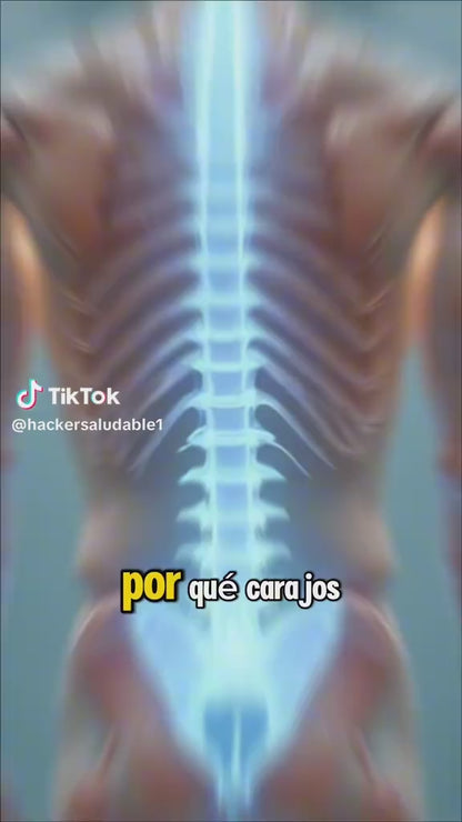 MAGNESIO COMPLEX MT 60 CÁPSULAS